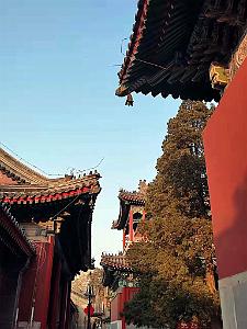 2023 02 05  PEKIN - WANSHOU TEMPLE LONGEVITE BIENVEILLANCE (32)